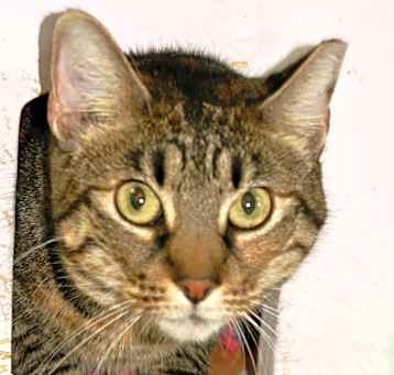 Photo of Mimi