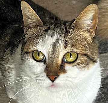 Photo of Kendra