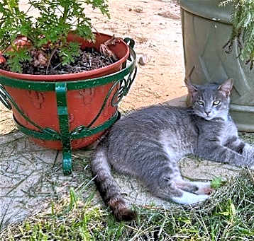 Photo of Lola