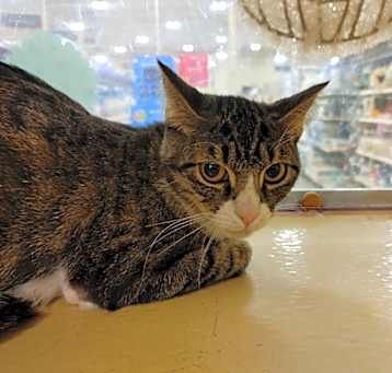 Photo of Sugar