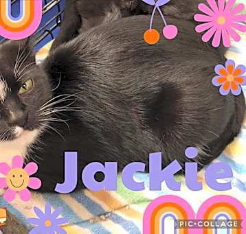 Photo of Jackie