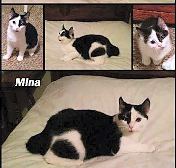 Photo of Mina