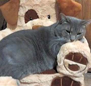 Photo of Carlita