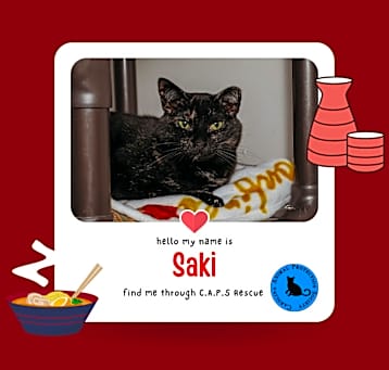 Photo of Saki