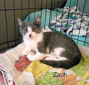Photo of Zack
