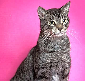 Photo of Theodore