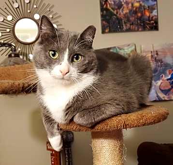 Photo of Pinky