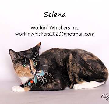 Photo of SELENA