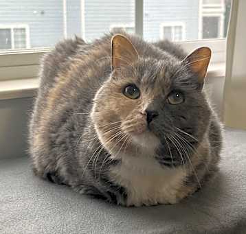 Photo of Katie