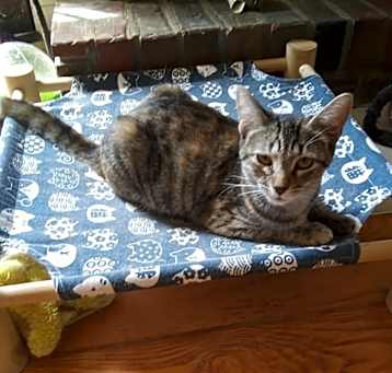 Photo of Elsa