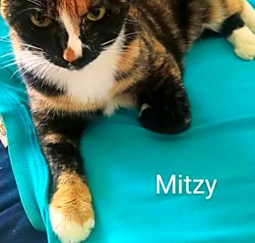 Photo of Mitzi