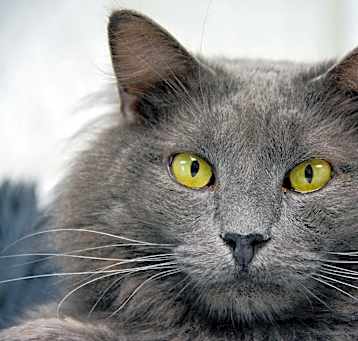 Photo of SMOKIE