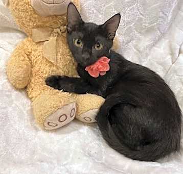 Photo of Gabby