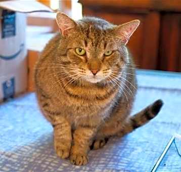 Photo of Rupert