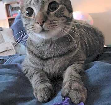 Photo of Moe