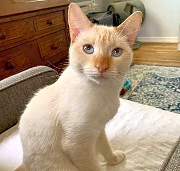 Photo of Wilbur