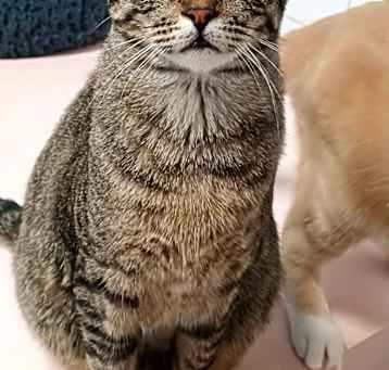 Photo of Speckles