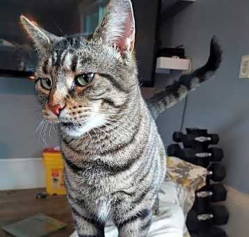 Photo of Sugar