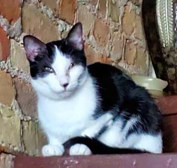 Photo of Angel