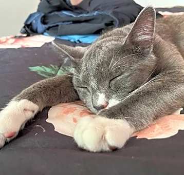 Photo of Oliver