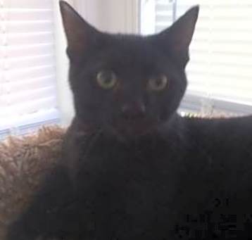 Photo of Alvin
