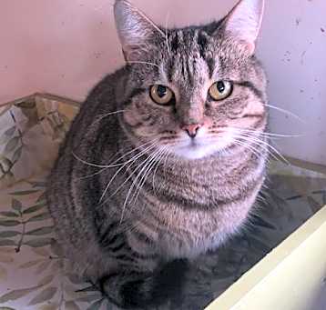 Photo of Lena