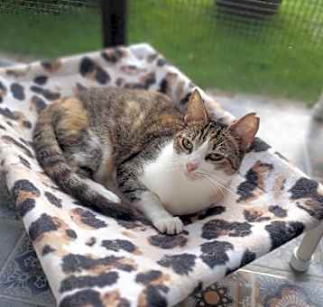 Photo of Ori