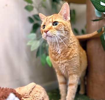 Photo of Manny