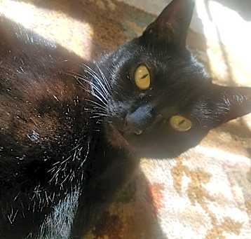 Photo of Mama