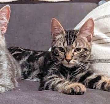 Photo of Cassy mama & her baby Teagan