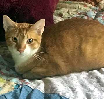 Photo of Leroy Jenkins