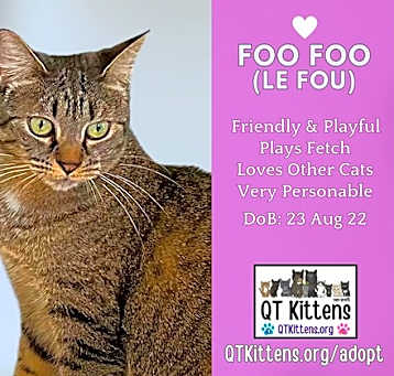 Photo of Foo Foo (Le Fou)