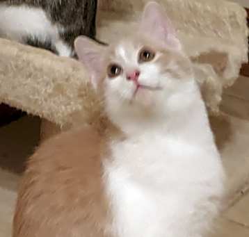 Photo of MATEO