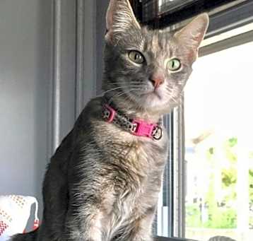 Photo of Chloe