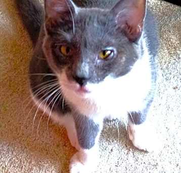 Photo of Squeaks