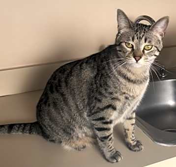 Photo of Kiki