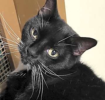 Photo of Sally Jane
