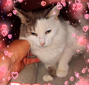 Photo of Baby
