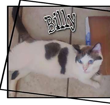 Photo of Billy