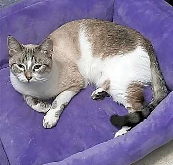 Photo of Charm