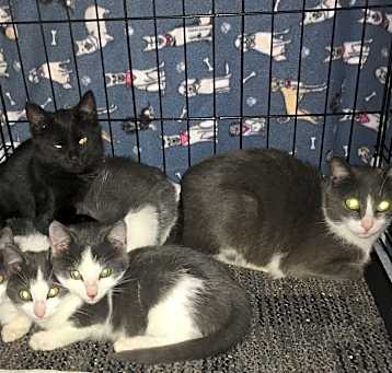 Photo of Thelma and family Needs foster