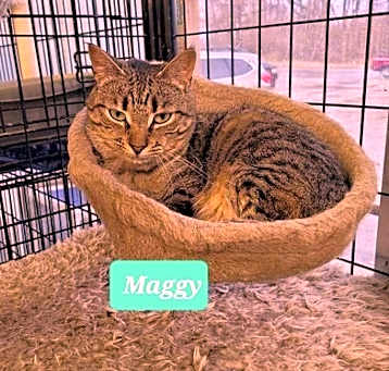Photo of Maggy