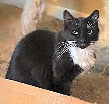 Photo of Gavin