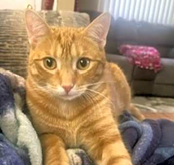 Photo of Morris Jenkins bonded w Paws