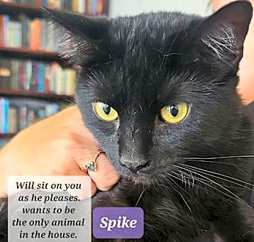 Photo of Spike