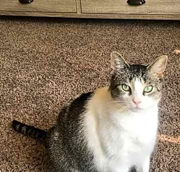 Photo of Luna