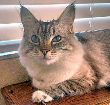 Photo of Lola