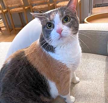 Photo of Riley