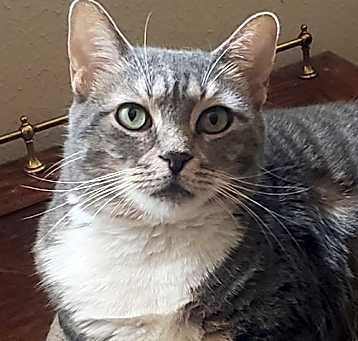 Photo of Princes Gigi