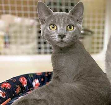 Photo of Stormy